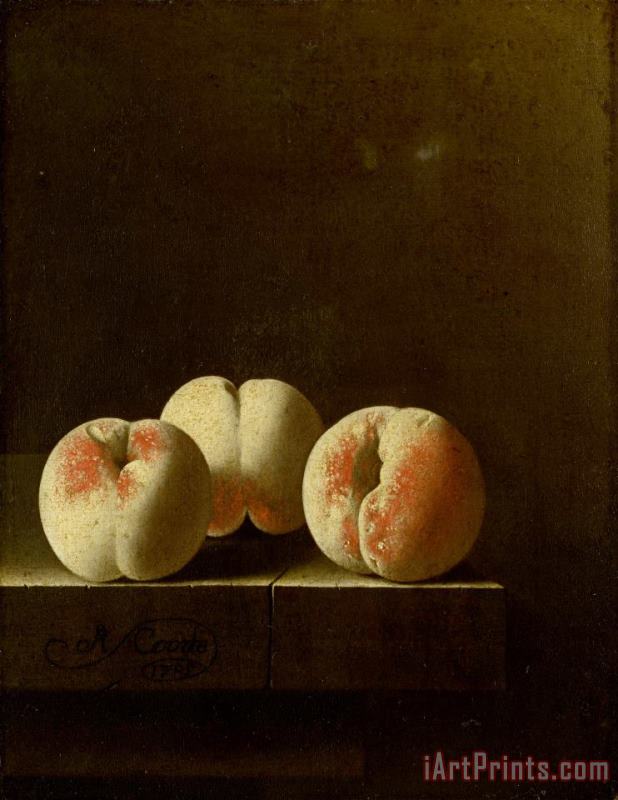 Adriaen Coorte Three Peaches on a Stone Plinth Art Print