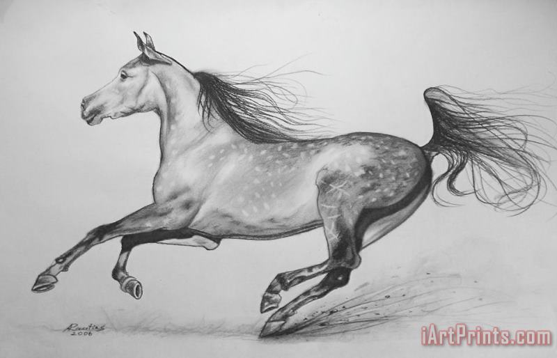 Galloping horse painting - Agris Rautins Galloping horse Art Print