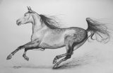 Agris Rautins - Galloping horse painting