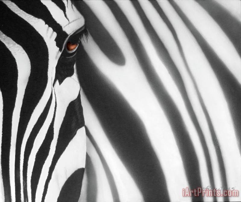 Zebra painting - Agris Rautins Zebra Art Print