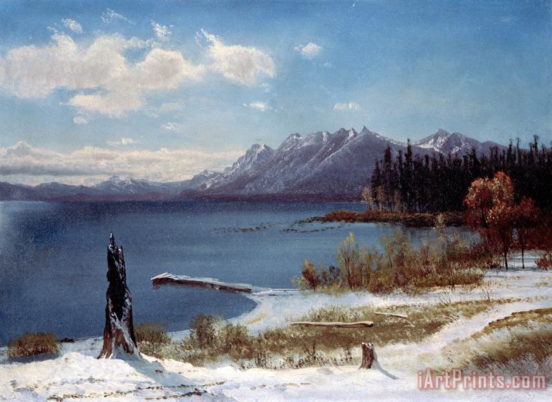 Lake Tahoe painting - Albert Bierstadt Lake Tahoe Art Print
