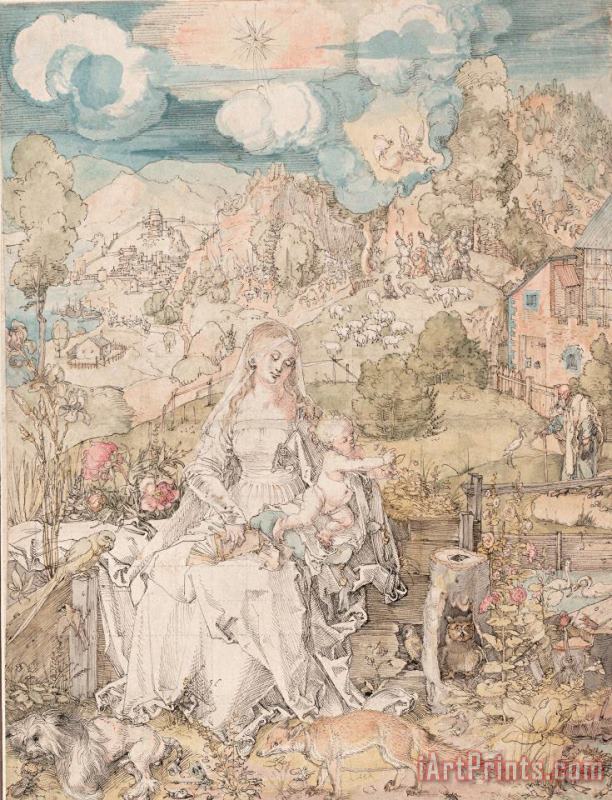 Albrecht Durer Durer Drawing Mary And Animals Art Print