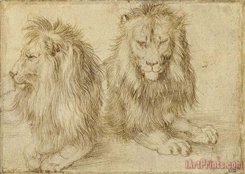 Two Seated Lions painting - Albrecht Durer Two Seated Lions Art Print