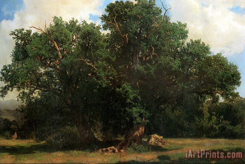 Alexandre Calame Oak Trees Art Painting