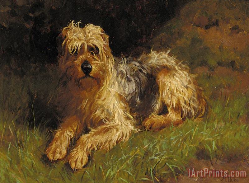 Alfred Duke Soft Coated Wheaten Terrier Art Painting