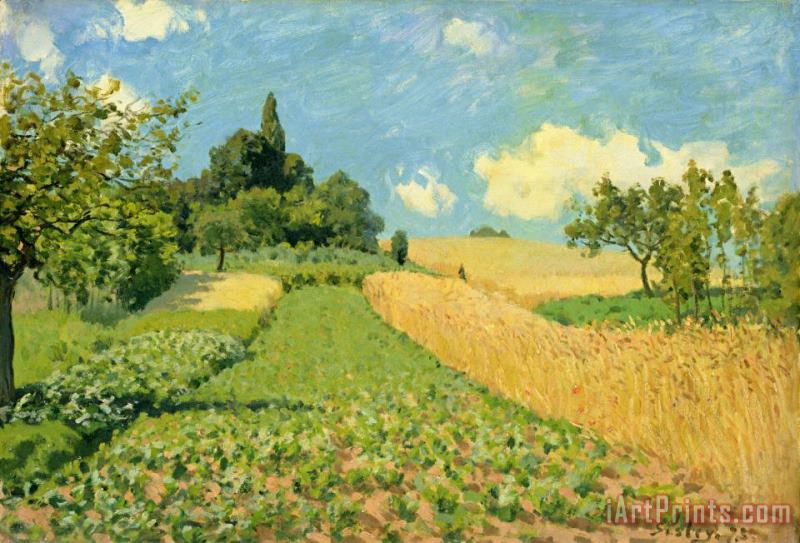 The Cornfield (near Argenteuil) painting - Alfred Sisley The Cornfield (near Argenteuil) Art Print