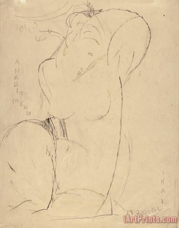 Amedeo Modigliani Anadiomena Art Painting