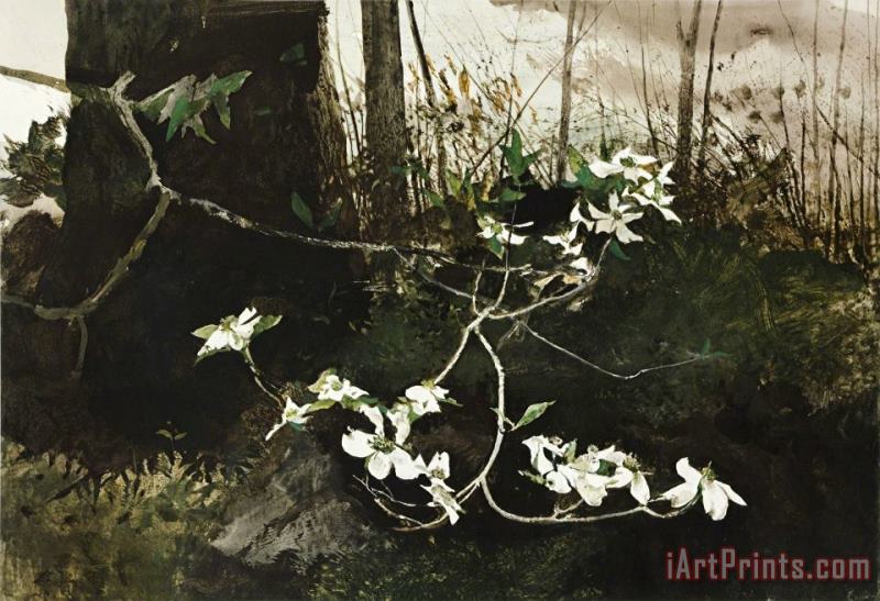 Dogwood, 1983 painting - andrew wyeth Dogwood, 1983 Art Print