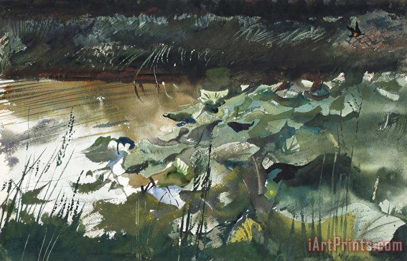 Lily Pads, 1954 painting - andrew wyeth Lily Pads, 1954 Art Print