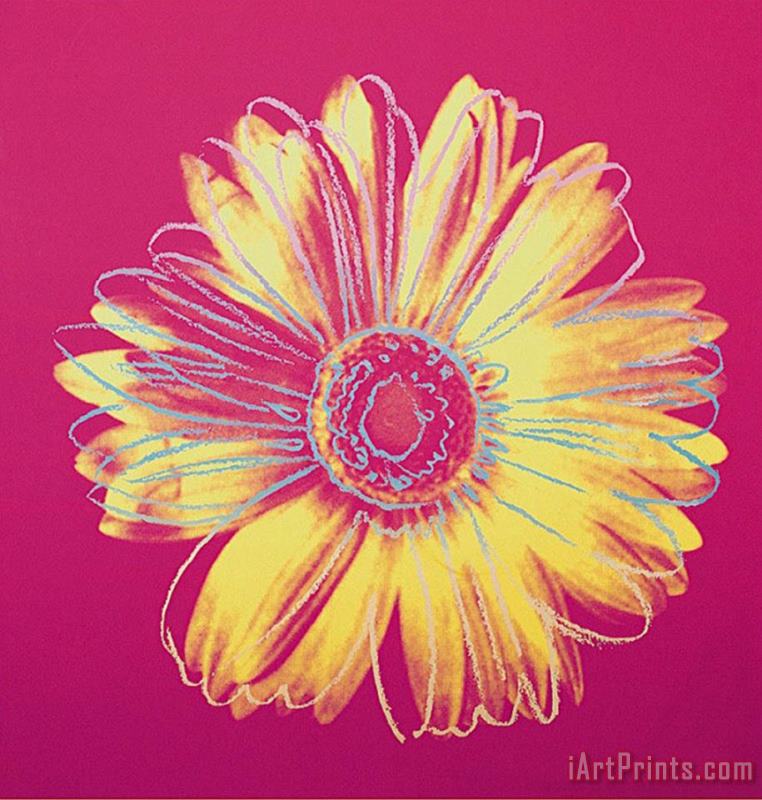Daisy C 1982 Fuschia And Yellow painting - Andy Warhol Daisy C 1982 Fuschia And Yellow Art Print