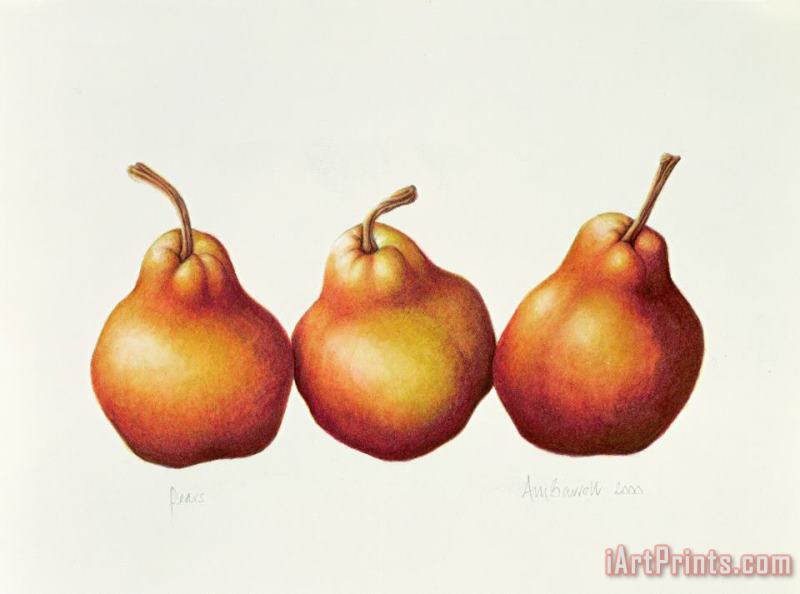 Pears painting - Annabel Barrett Pears Art Print