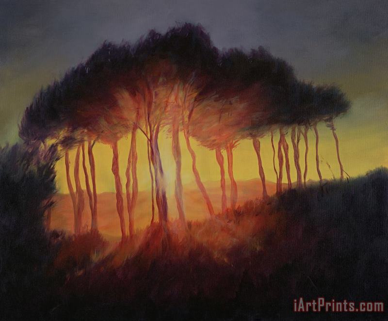 Wild Trees at Sunset painting - Antonia Myatt Wild Trees at Sunset Art Print