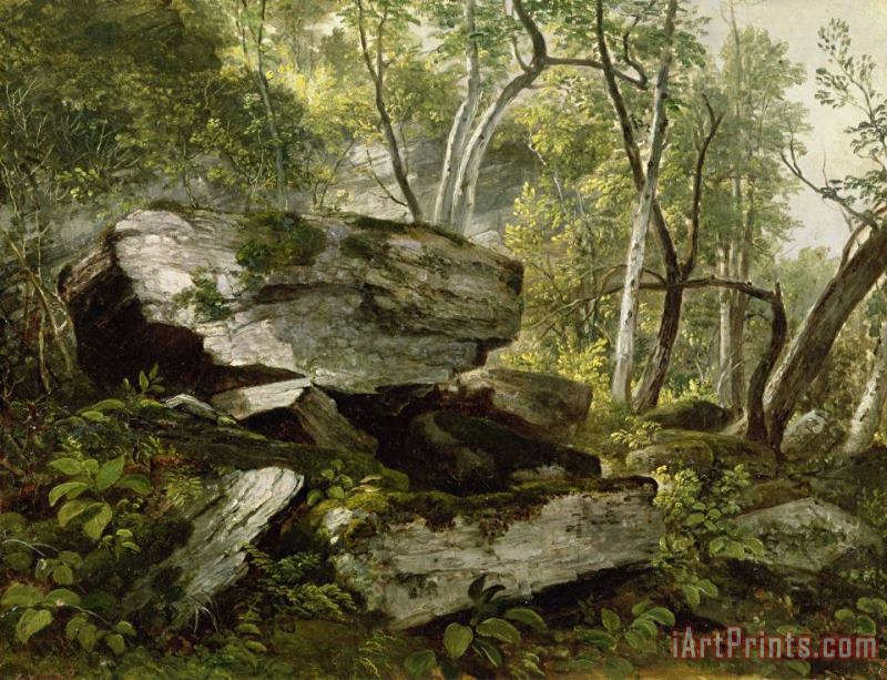 Asher Brown Durand Study from Nature - Rocks and Trees Art Print
