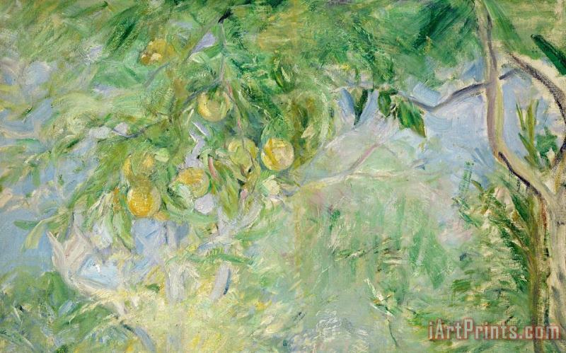 Berthe Morisot Orange Tree Branches Art Print