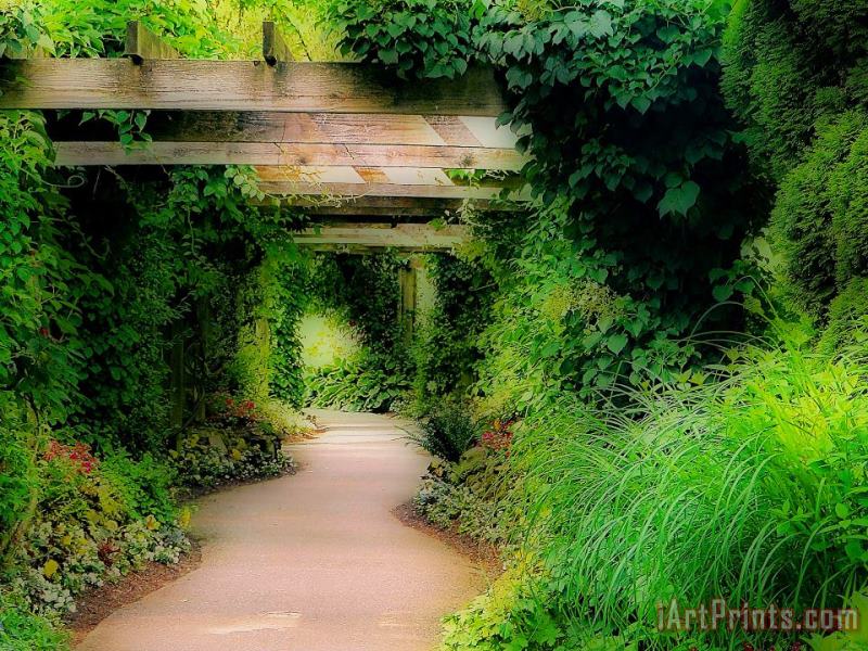 Down the Garden Path painting - Blair Wainman Down the Garden Path Art Print