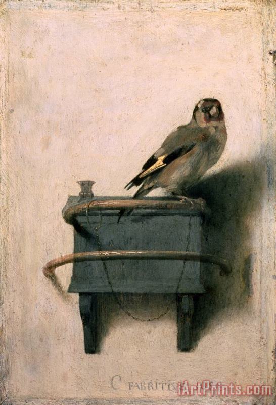 The Goldfinch 1654 painting - Carel Fabritius The Goldfinch 1654 Art Print