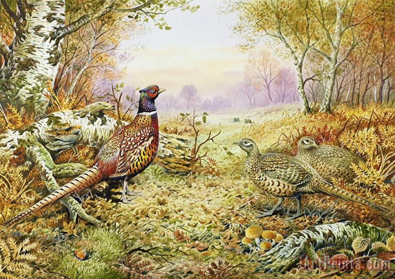 Carl Donner Pheasants in Woodland Art Painting
