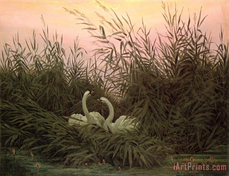 Swans in The Reeds painting - Caspar David Friedrich Swans in The Reeds Art Print
