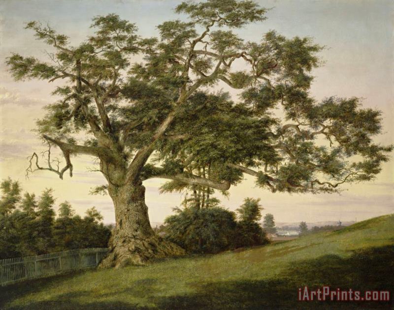 The Charter Oak painting - Charles De Wolf Brownell The Charter Oak Art Print