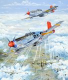 Charles Taylor - Red Tail 61 painting