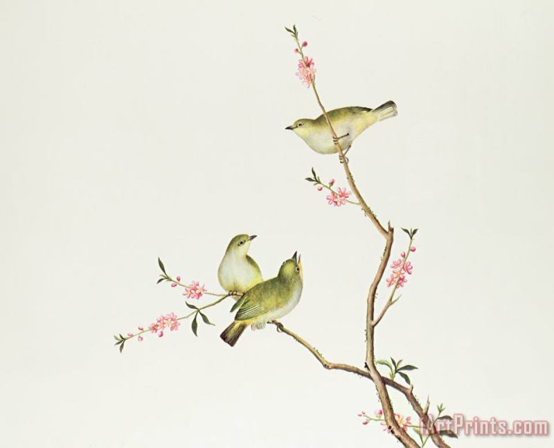 Chinese School White Eye Bird Art Painting