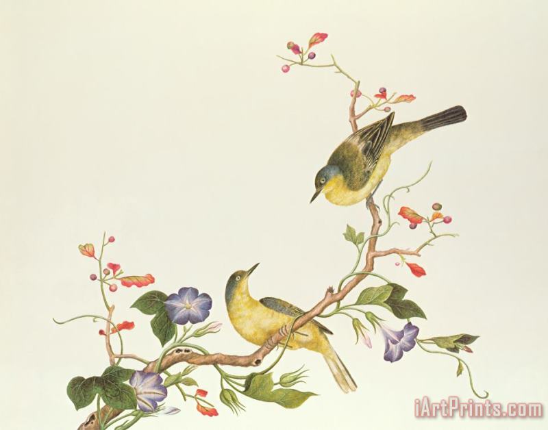 Chinese School Yellow Wagtail With Blue Head Art Print