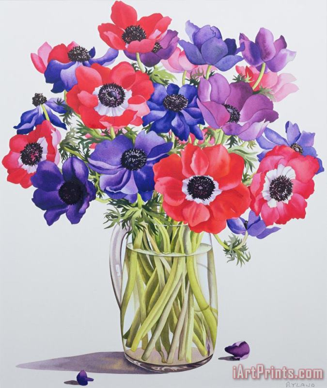 Christopher Ryland Anemones In A Glass Jug Art Painting
