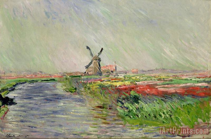 Tulip Field in Holland painting - Claude Monet Tulip Field in Holland Art Print