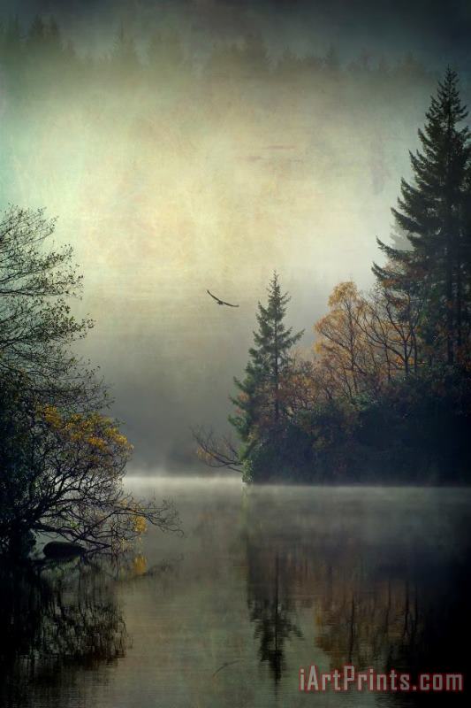 Collection Osprey on Loch Ard texture and brushes Art Painting