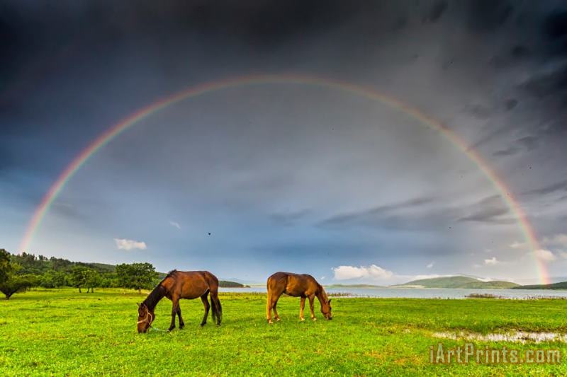 Collection 12 Rainbow Horses Art Print