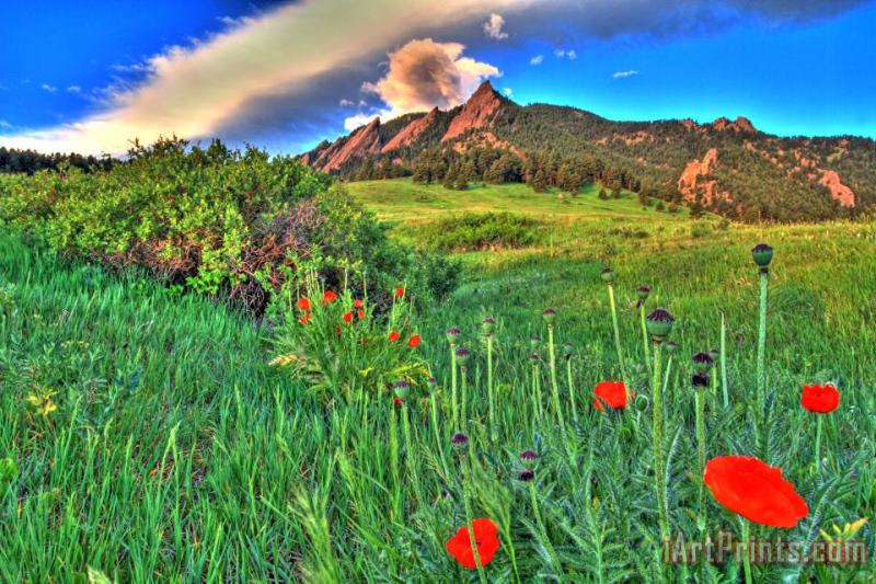 Flatirons and Poppies painting - Collection 14 Flatirons and Poppies Art Print