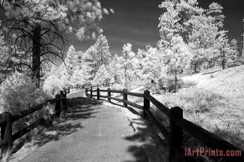 Collection 6 Bryce Canyon Trail Art Painting