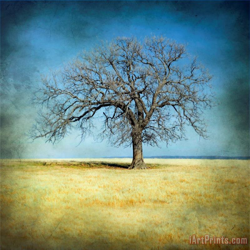 Collection 6 Lone Tree Art Painting