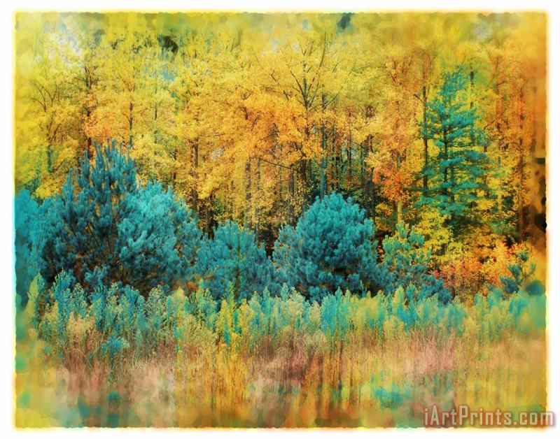 Collection 8 Autumn pines Art Print