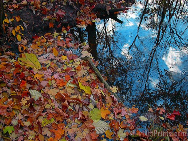 Collection 8 Autumn reflections Art Print