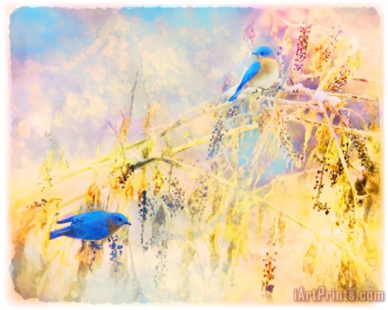 Bluebirds return painting - Collection 8 Bluebirds return Art Print