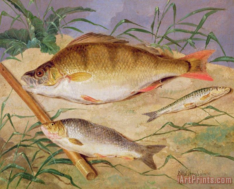  An Angler's Catch of Coarse Fish painting - D Wolstenholme  An Angler's Catch of Coarse Fish Art Print