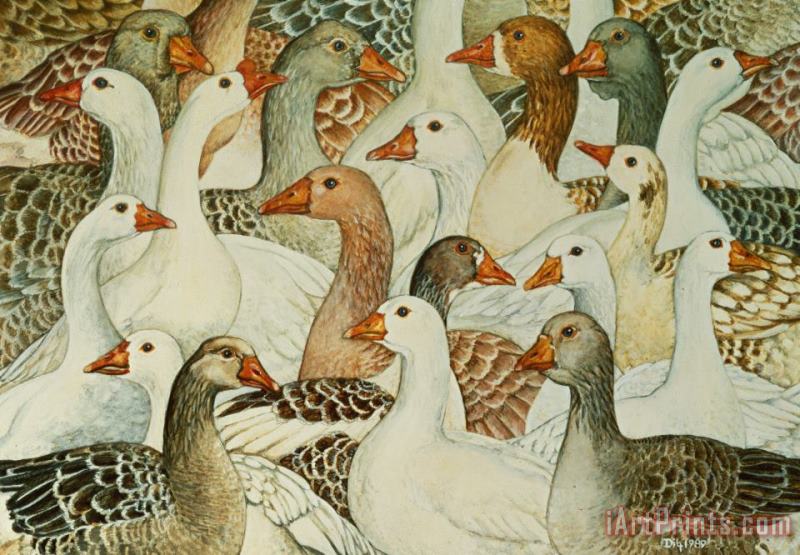 Patchwork Geese painting - Ditz Patchwork Geese Art Print