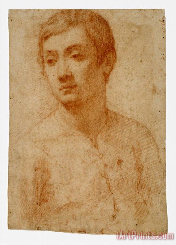 The Head of a Youth painting - Domenico Cresti The Head of a Youth Art Print