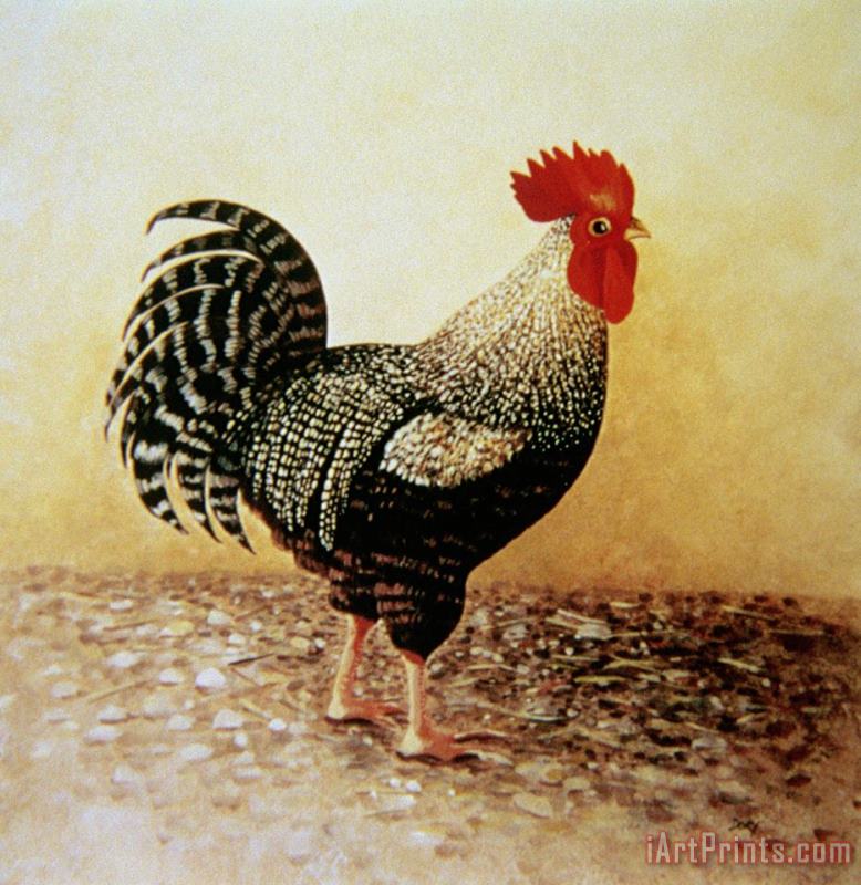 Dory Coffee Speckled Rooster Art Print