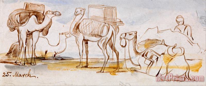 Edward Lear Camels Art Painting