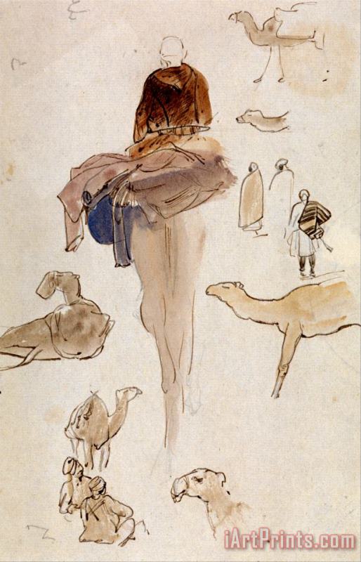 Edward Lear Studies of Camels Art Painting