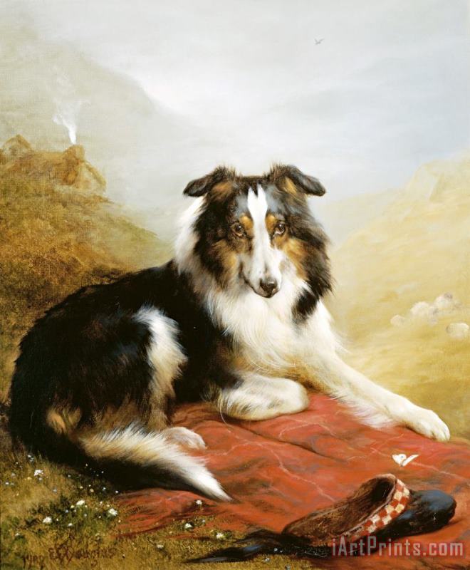 A Collie, The Guardian of The Flock painting - Edwin Douglas A Collie, The Guardian of The Flock Art Print