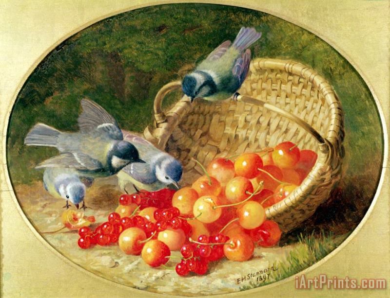 Eloise Harriet Stannard Bluetits Pecking at Cherries 1897 Art Painting