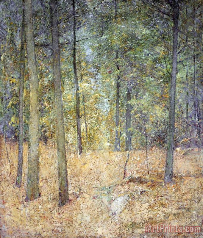 A Light in The Forest painting - Emil Carlsen A Light in The Forest Art Print