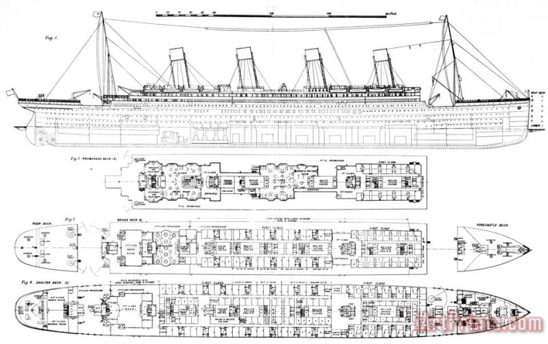 Inquiry Into The Loss Of The Titanic Cross Sections Of The Ship painting - English School Inquiry Into The Loss Of The Titanic Cross Sections Of The Ship Art Print