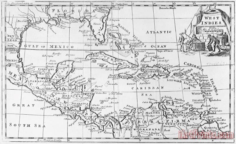 Map of the West Indies Florida and South America painting - English School Map of the West Indies Florida and South America Art Print