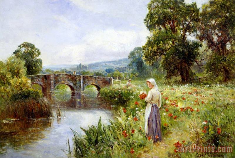 Ernest Walbourn Poppies on The Riverbank Art Painting