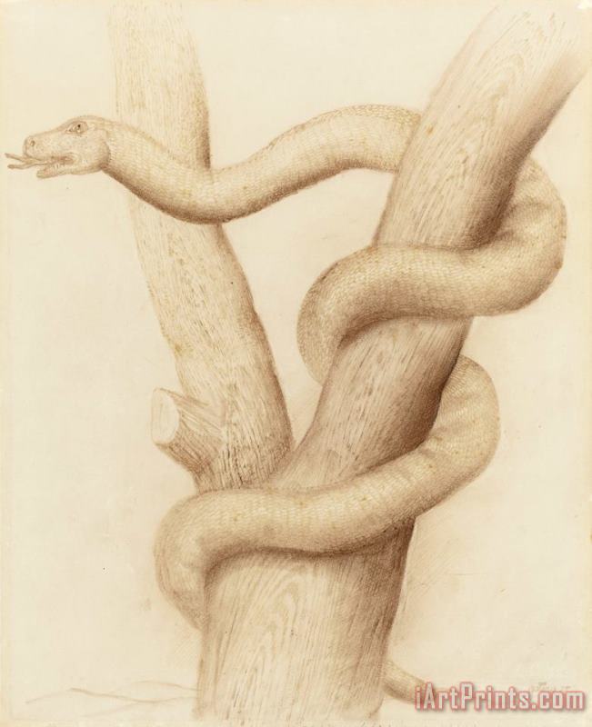 Snake, 1975 painting - Fernando Botero Snake, 1975 Art Print