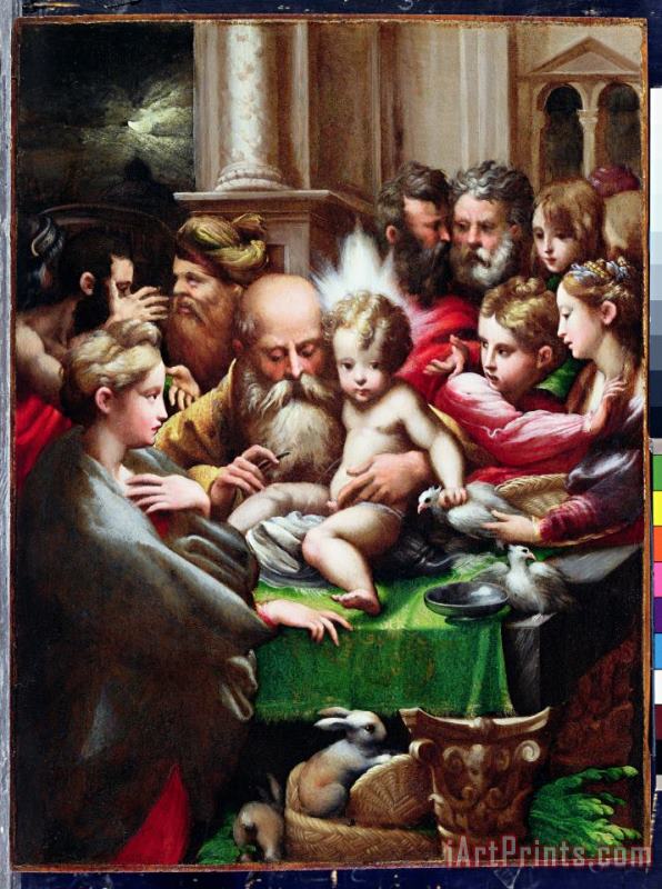 Francesco Mazzola Parmigianino The Circumcision Art Painting